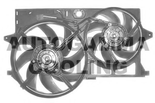 AUTOGAMMA GA201495 Fan, radiator